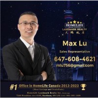 Agent MAX LU