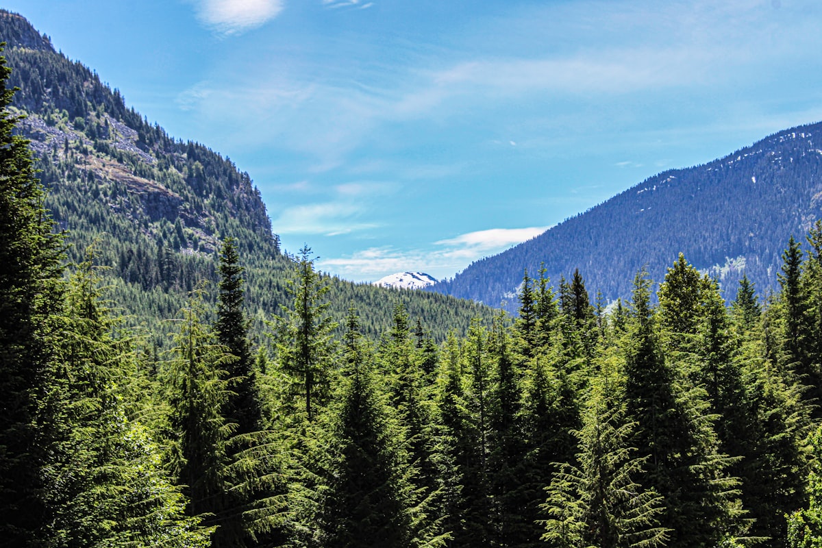 Abbotsford housing stock - residential neighbourhood with mountain backdrop