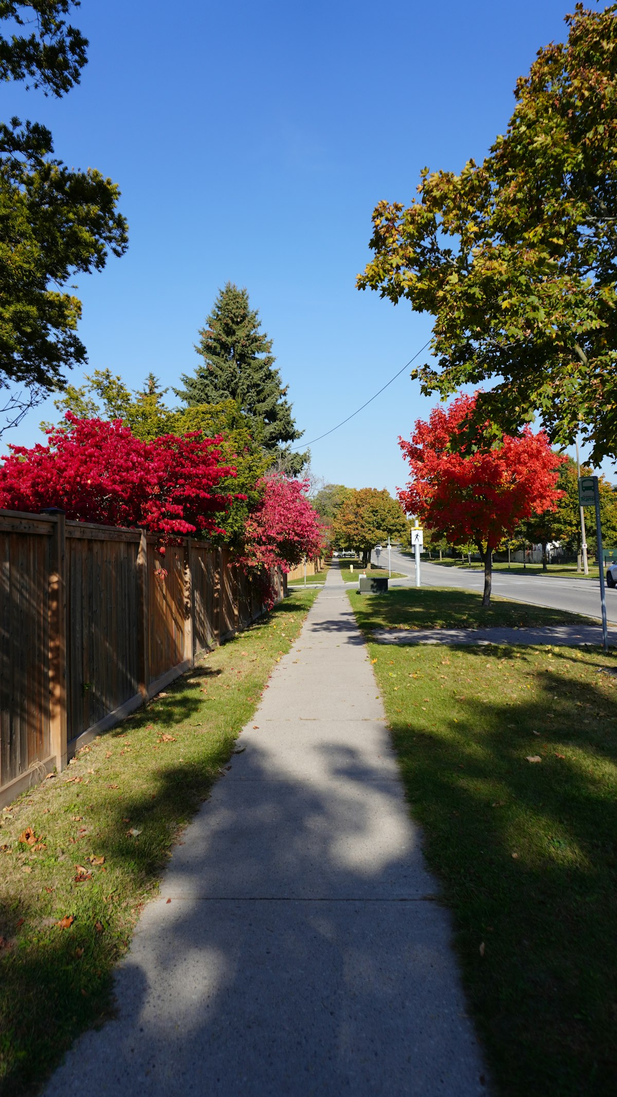 Ontario residential neighbourhood
