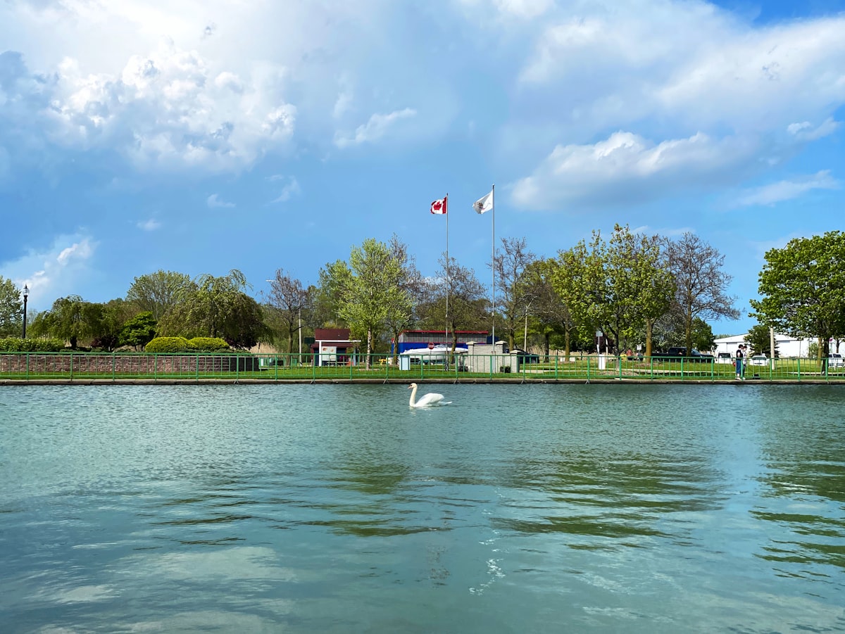 Lake Simcoe shoreline and recreation