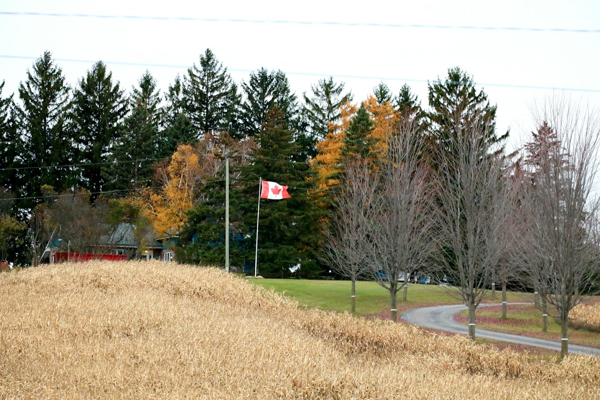 Burlington housing stock showing suburban homes near the escarpment