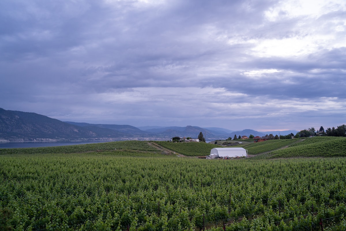 North Vancouver outdoor lifestyle and mountain recreation