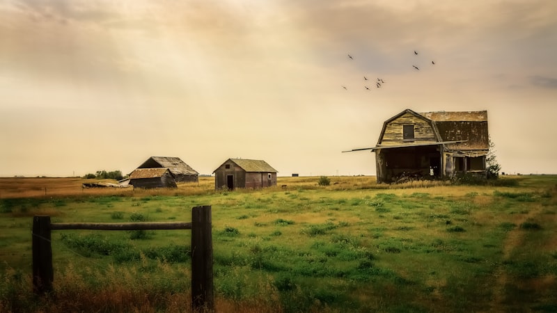 Saskatchewan prairie landscape with farmhouse and green field