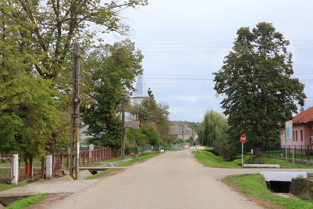 Residential neighbourhood in Regina