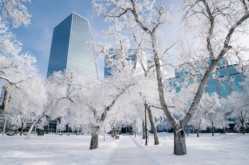 Regina neighbourhood with tree-lined residential streets
