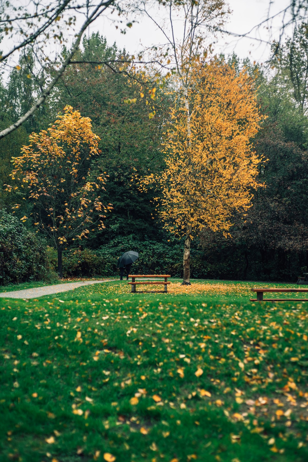 Surrey park and community area with mountain views