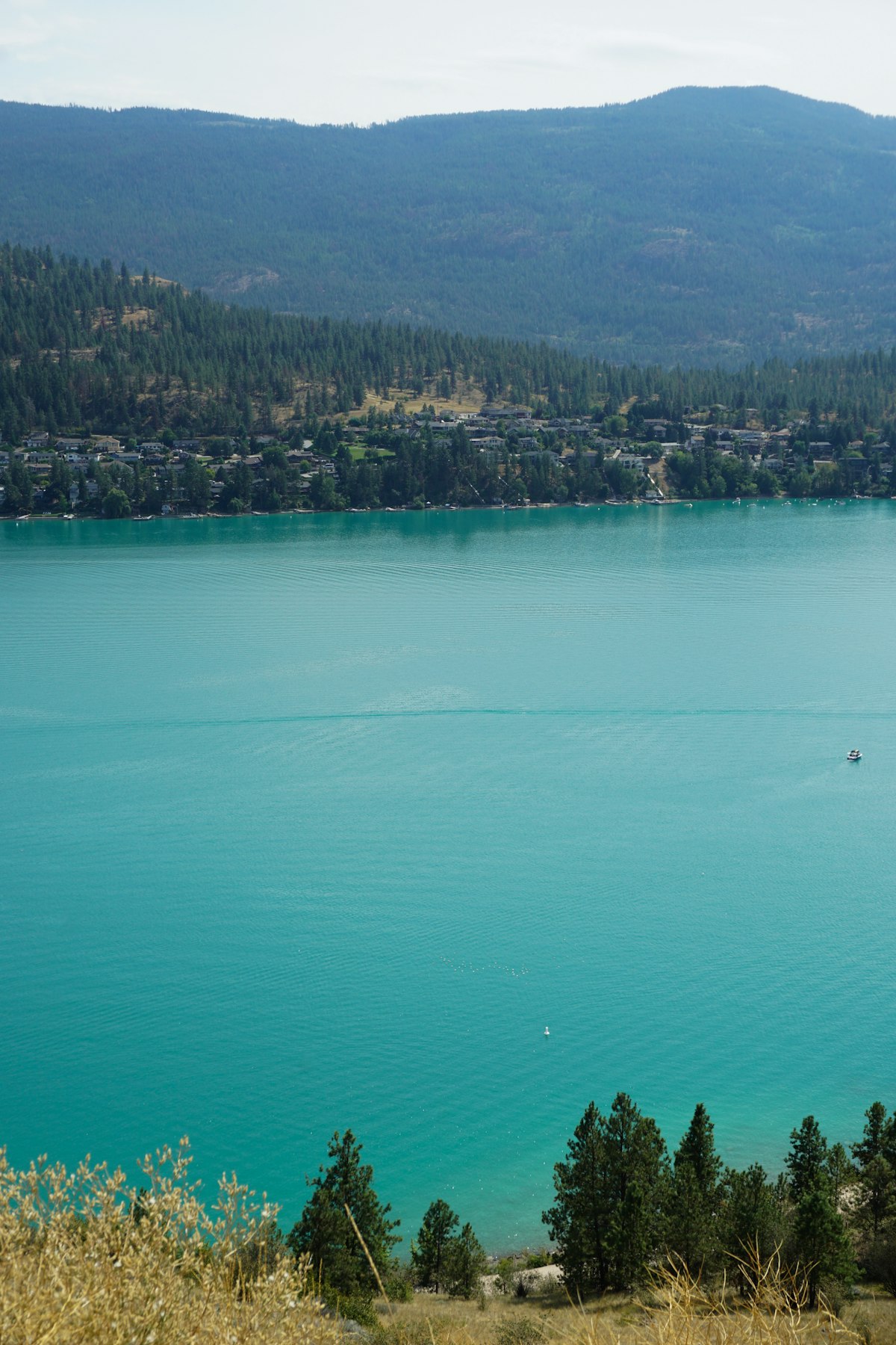 Vernon and Okanagan Lake viewed from a hillside above the city
