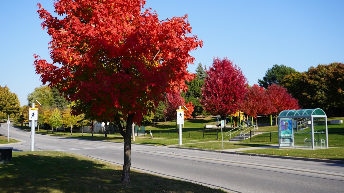 Waterloo Ontario residential neighbourhood