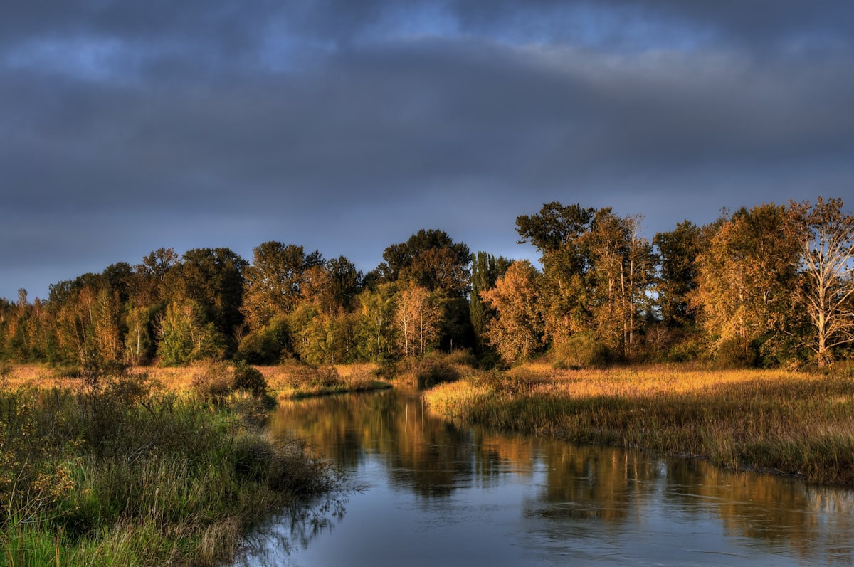 Scenic view of Delta, British Columbia waterways at sunset