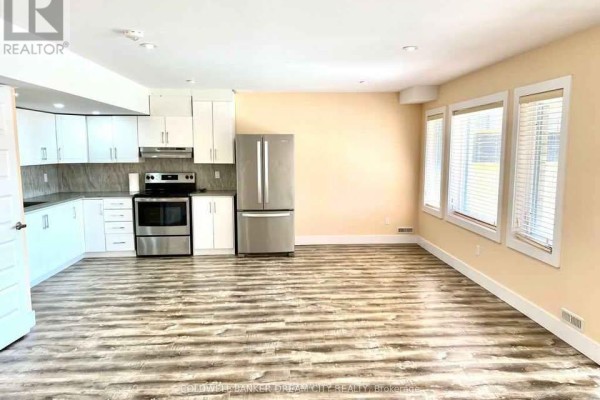 Kitchen - (lower) - 1236 Medway Park Drive, London North, ON N6G0V6 Photo 3