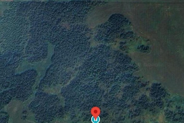 - -, Rural Leduc County, AB T0B3M3 Photo 2