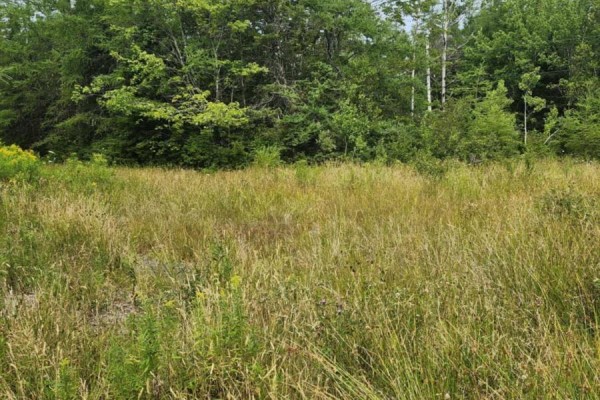- Alder Road, Dutch Brook, NS B1M1B2 Photo 3