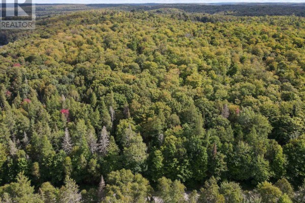 - Boundary Road, Parry Sound Remote Area, ON P0A1X0 Photo 2