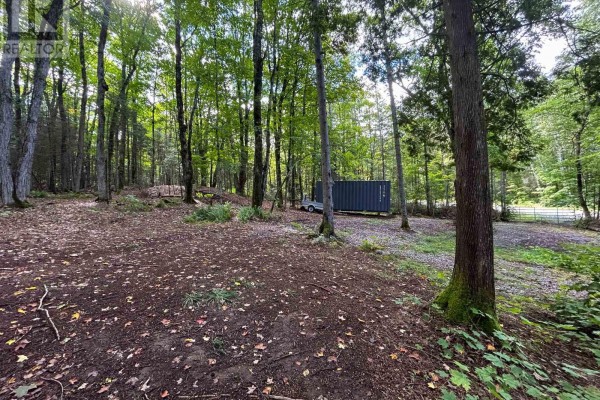- Boundary Road, Parry Sound Remote Area, ON P0A1X0 Photo 3