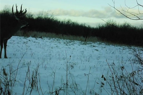 0 70w Road, Alonsa, MB R0H0A0 Photo 5