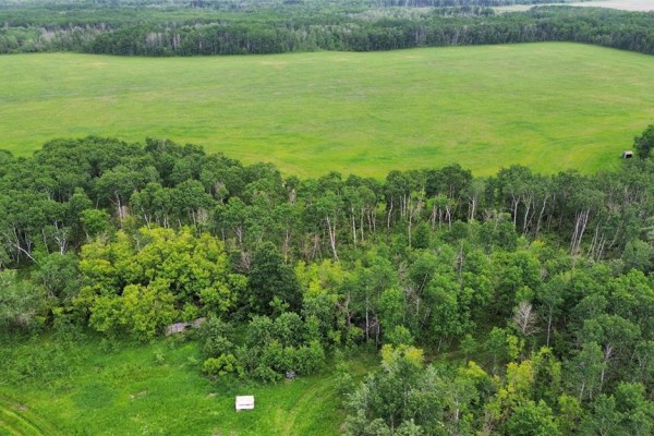 , Dauphin, MB R7N2T4 Photo 5