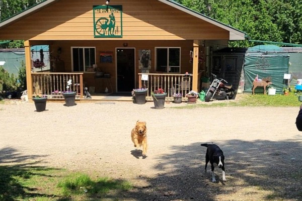 Commercial for sale at 53309a Range Rd 65, Gainford, AB - MLS® 29874842