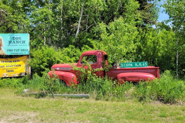 53309a Range Rd 65, Gainford, AB T0E0W0 Photo 4