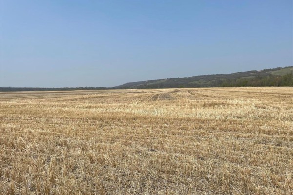 A harvested field of stubble stretches towards a treeline and hills under a bright, clear sky. - , Miniota