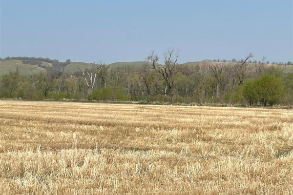 Dry, harvested fields extend toward a dense treeline and undulating hills under a clear sky. - , Miniota