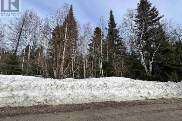 . Broomhead Rd, Chapleau, ON P0M1K0 Photo 4