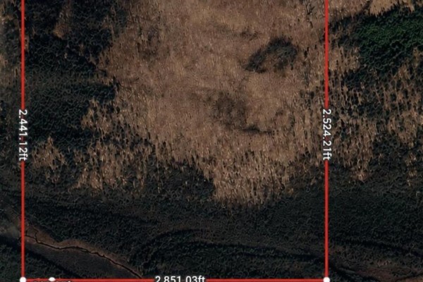 Aerial view of a large wooded lot showing irregular shape, bordered by red lines with measurements. - . Con 4 Lot 12, Blind River