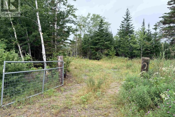 . Intervale Road, Huntington, NS B1K1T9 Photo 5