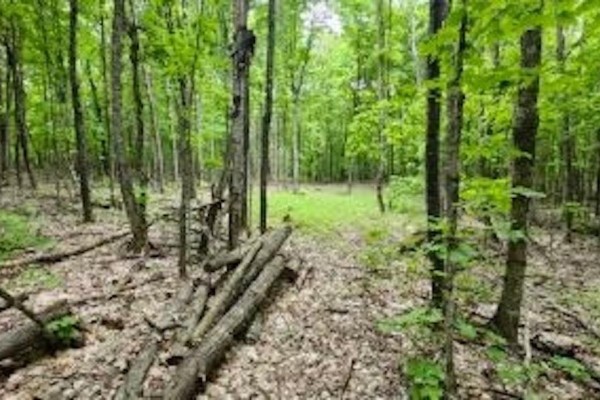 . South Of East Line Rd, Thessalon, ON P0R0A1 Photo 2
