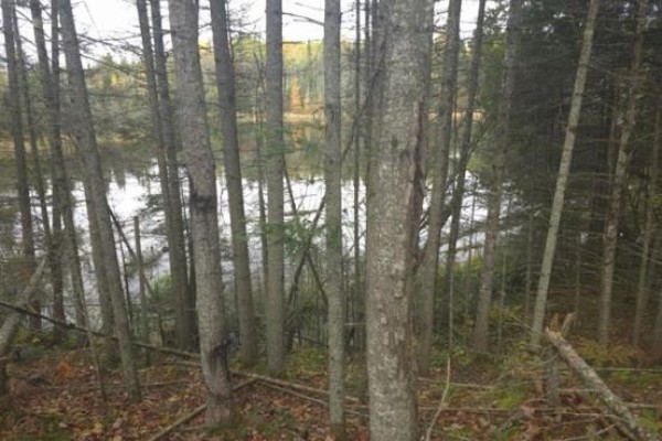 . South Of East Line Rd, Thessalon, ON P0R0A1 Photo 5