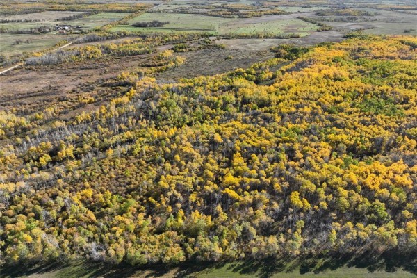 0 105 Road N, Armstrong, MB R0C1P0 Photo 3