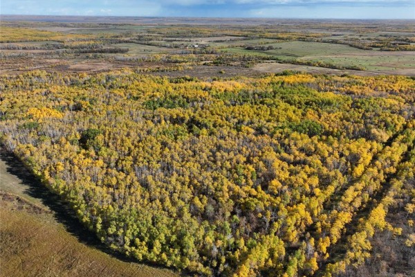 0 105 Road N, Armstrong, MB R0C1P0 Photo 4