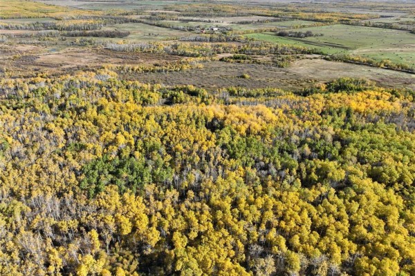 0 105 Road N, Armstrong, MB R0C1P0 Photo 5