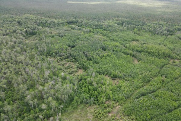 0 14n Road, Vassar, MB R0A2J0 Photo 3
