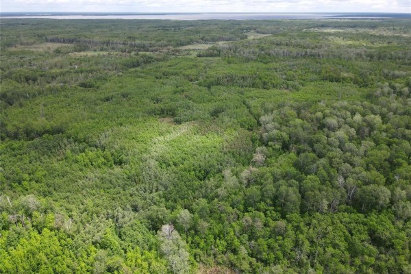 0 14n Road, Vassar, MB R0A2J0 Photo 5