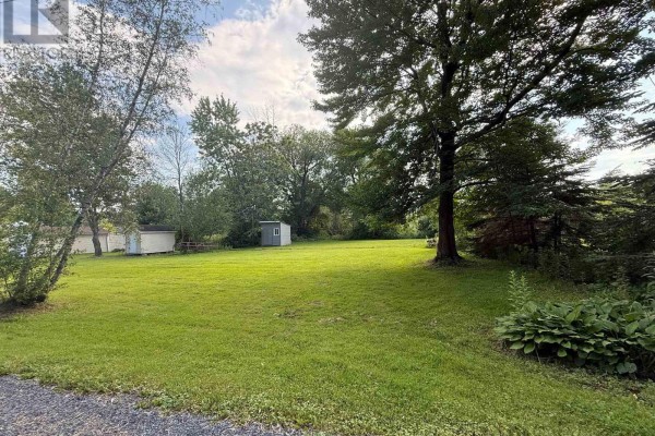 Green grass lot with trees and bushes, showing a gravel driveway edge. - 0 153rd Avenue, South Glengarry