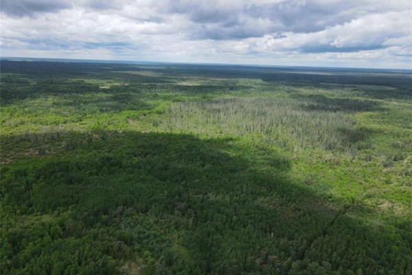 0 18n Road, Piney Rm, MB R0A2J0 Photo 3