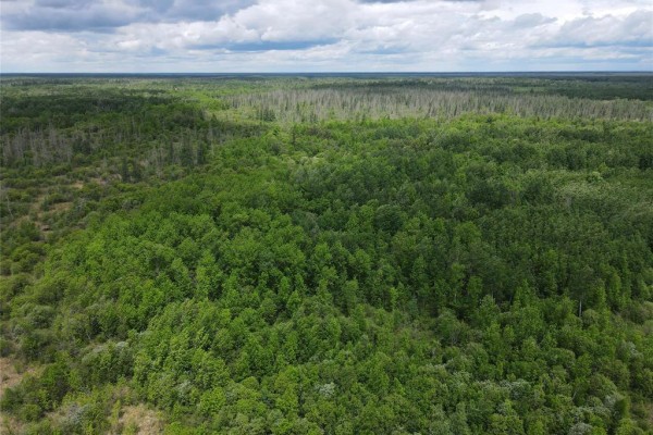 0 18n Road, Piney Rm, MB R0A2J0 Photo 4