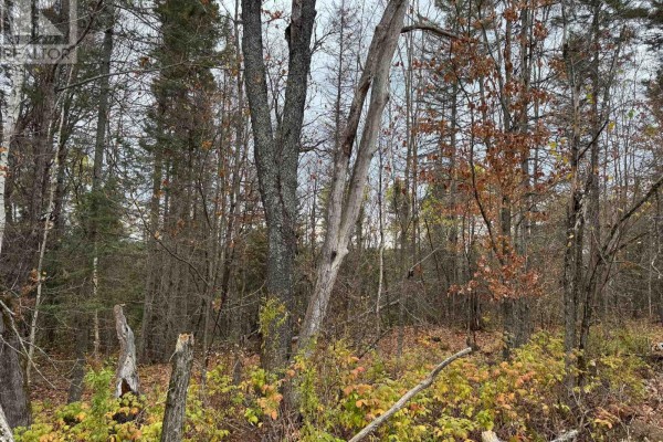 0-2 Bennett Road, Parry Sound Remote Area, ON, photo 3