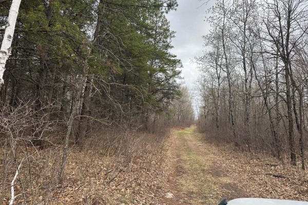 0 39 Road E, Beaconia, MB R0E0B0 Photo 3