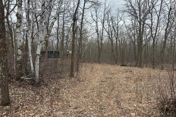 0 39 Road E, Beaconia, MB R0E0B0 Photo 4