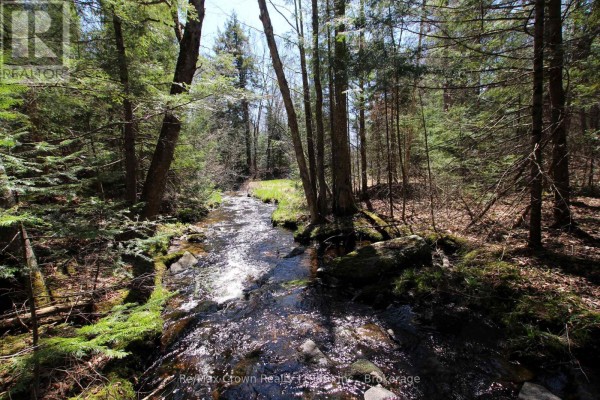 0 534 Highway, Parry Sound Remote Area, ON, photo 3