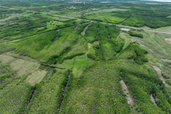 Overhead view of lush green forestland interspersed with clearings and water channels. - 0 68 Highway, Siglunes Rm
