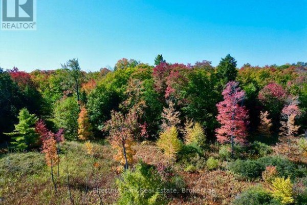 0 Acton Island Road, Muskoka Lakes, ON P0B1J0 Photo 4