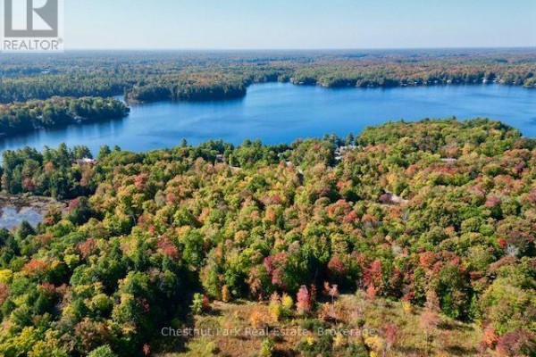 0 Acton Island Road, Muskoka Lakes, ON P0B1J0 Photo 5