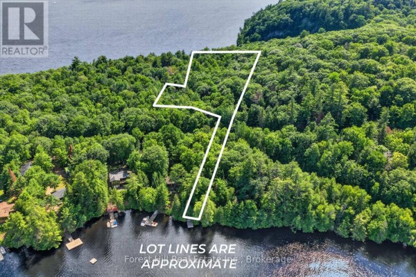 0 Alice Drive, Algonquin Highlands, ON, photo 3