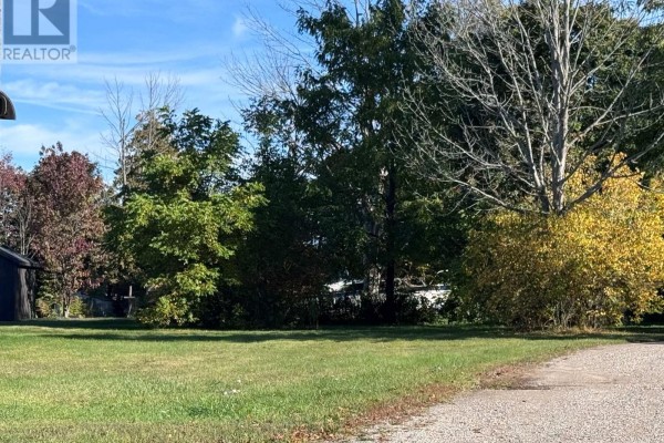 Green grass and trees with fall foliage line a gravel driveway on a sunny day. - 0 Alice Street, Saugeen Shores