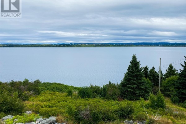 0 Anthonys Road, Spaniards Bay, NL A0A3X0 Photo 4