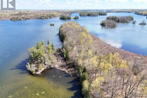 Aerial view of a peninsula with evergreen and deciduous trees, surrounded by lake. - 0 Applewood Lane, Frontenac