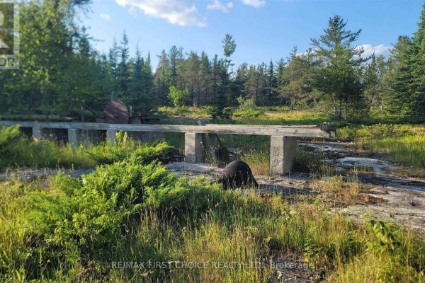 0 Ascough Road, Kenora, ON P9N1H4 Photo 4