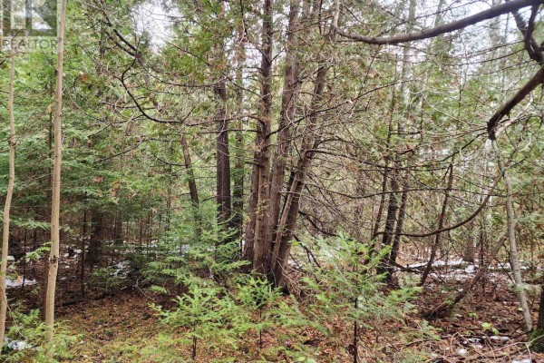 Pt. Lt. 11 Con 3, Scott, As In D537975, Township Of Uxbridge, Uxbridge, ON L0E1T0 Photo 3